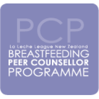 PCP Resource Pack - Essential Set: Basic Breastfeeding Information 1 (excluding book)